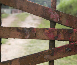 Consulte autor da fotografia