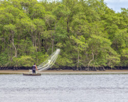 Festival de Fotografia de Paranapiacaba 2025